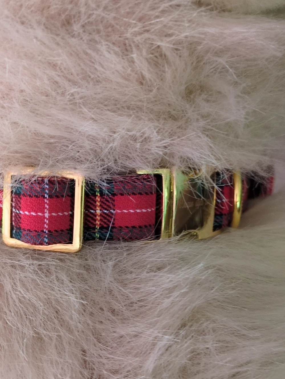 Red Plaid Bowtie Dog Collar